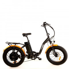 Электровелосипед Elbike TAIGA 1 Twix