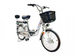 Электровелосипед GreenCamel Транк-2 V2 (R20 250W10Ah) Алюм 2-х подвес