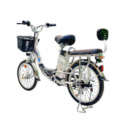 Электровелосипед GreenCamel Транк-2 (R20 350W 48V 20Ah) Alum 2-х подвес
