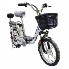 Электровелосипед GreenCamel Транк-18-60 (R18 350W 60V) Алюм
